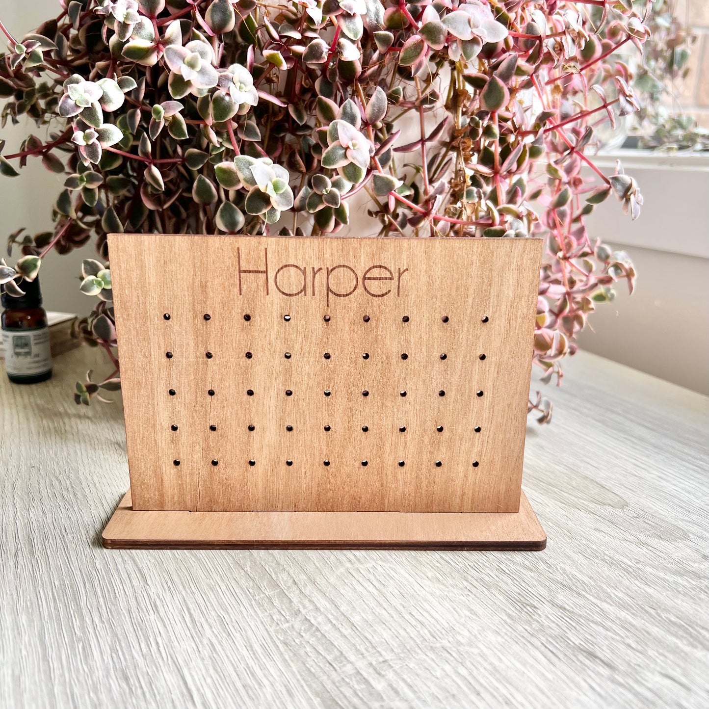 The Rachel mini earring holder