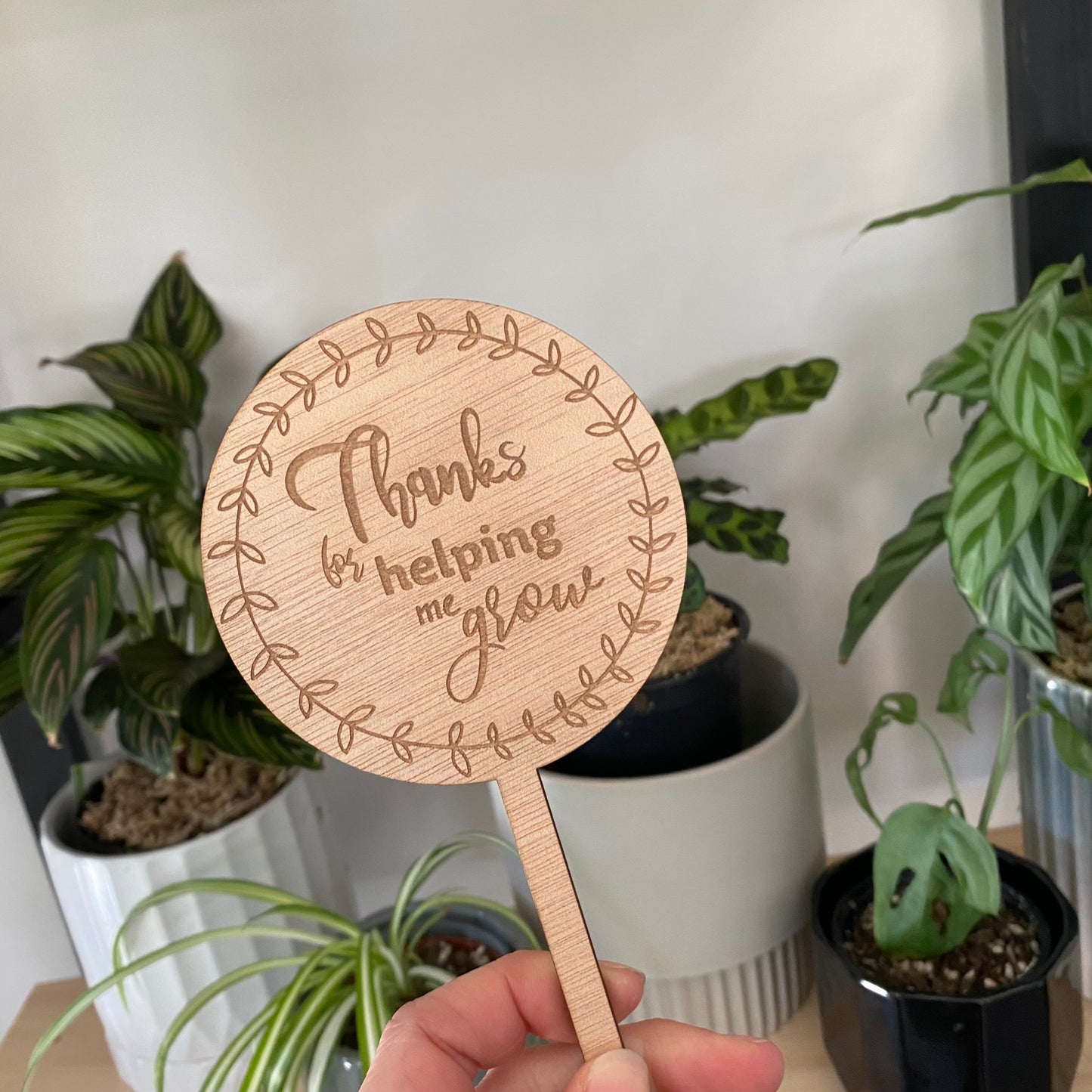 Planter stakes samples