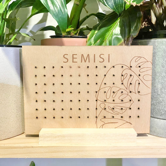 The Sammie earring holder