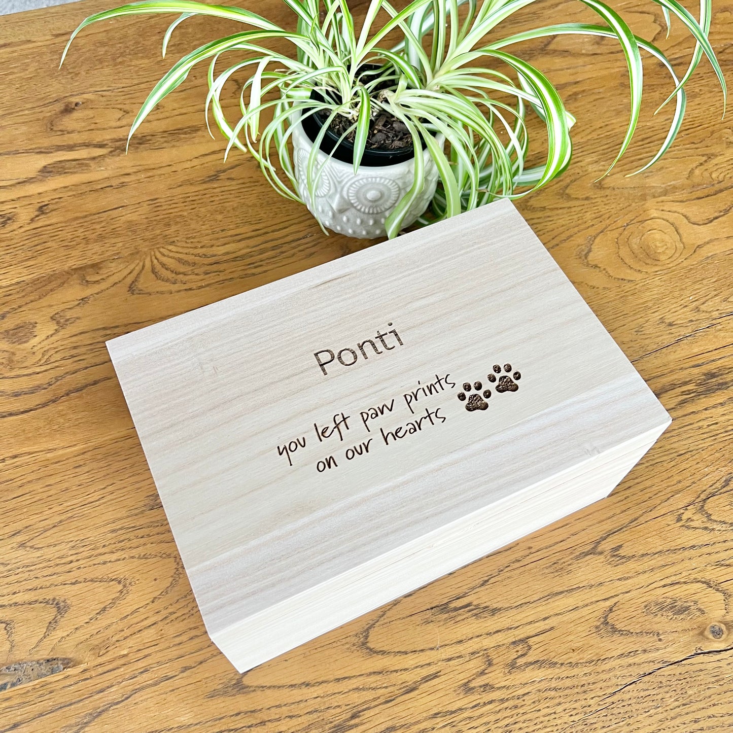 Animal Memorial Keepsake box - The Smithy