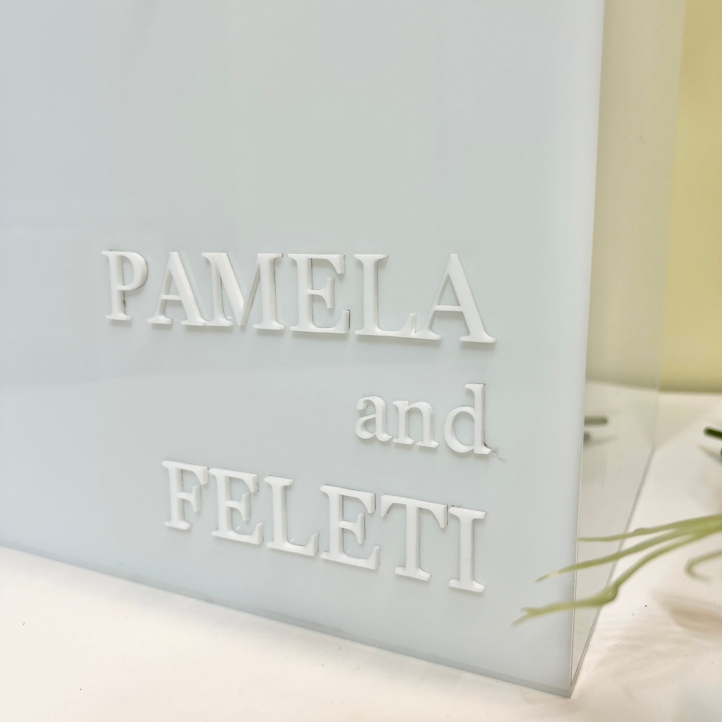 The Renee - Wishing Well in 3D