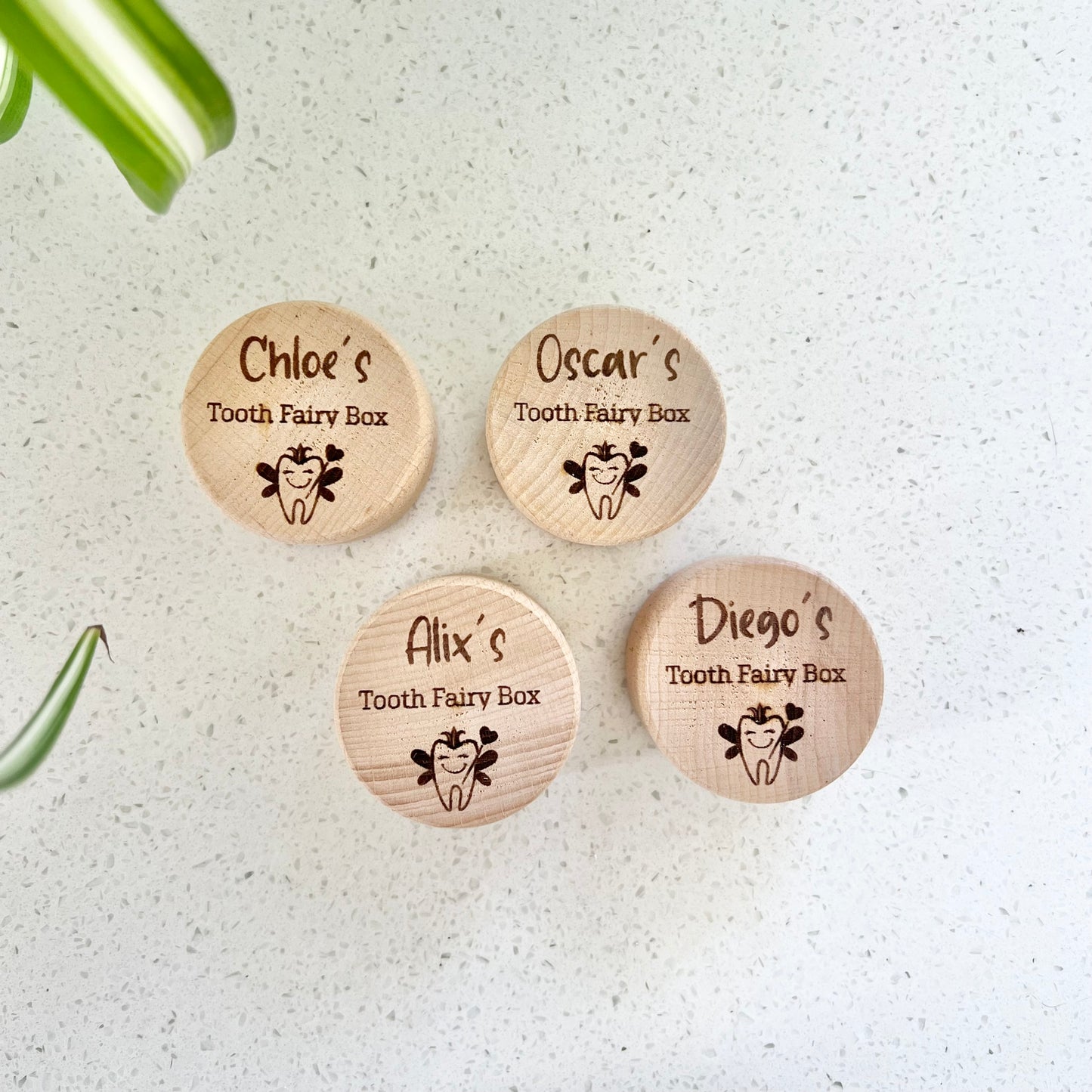 Tooth Fairy Box - The Ben