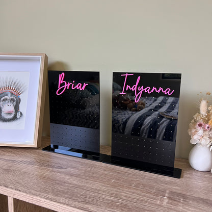 Harper Earring Holder