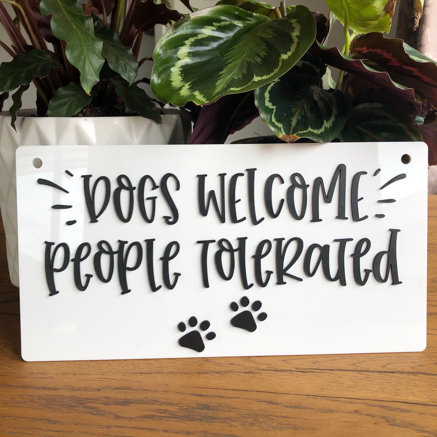 Dogs Welcome - Younique Collective